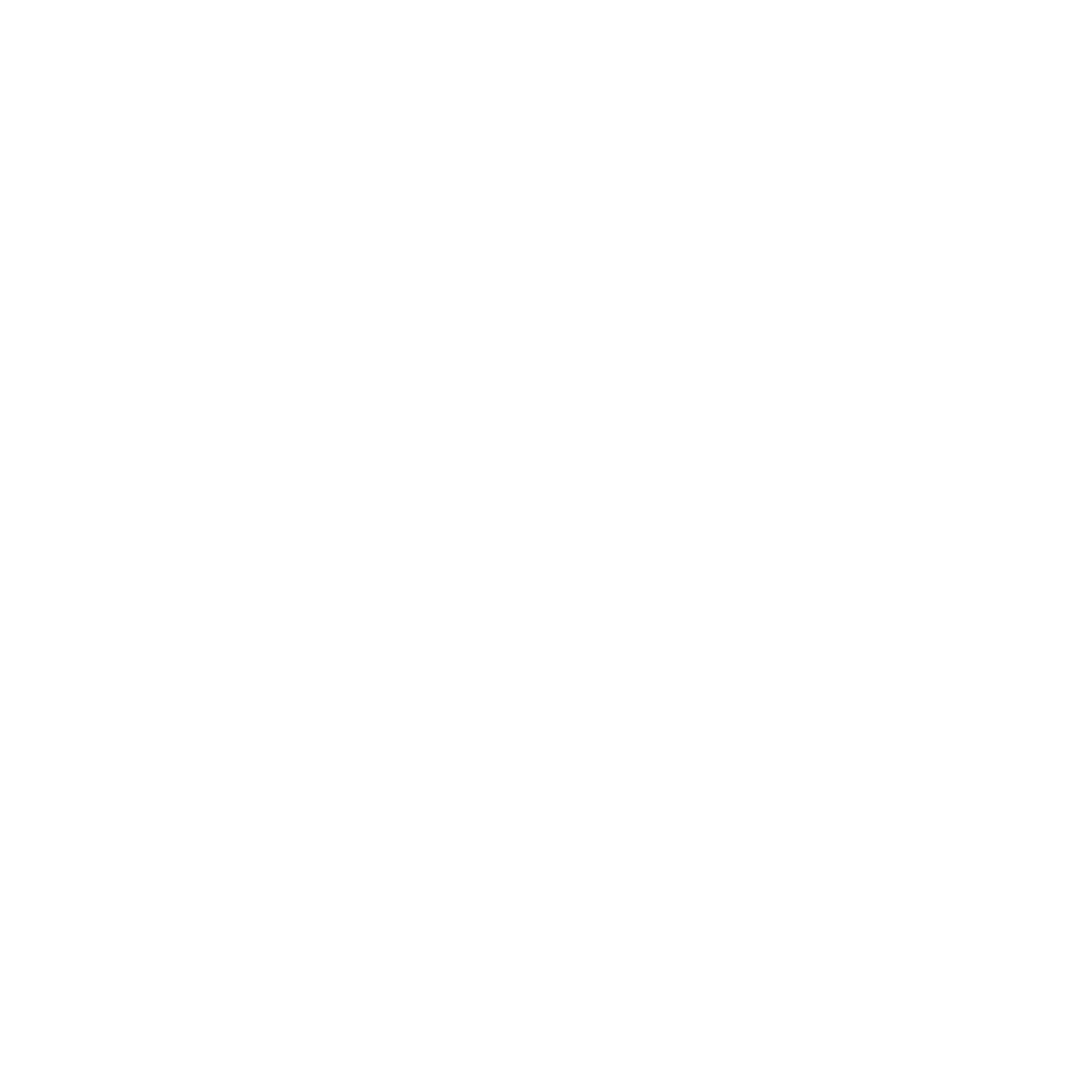弹幕骑士logo